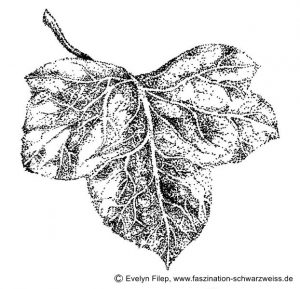 Auch mit Punkten kann man "zaubern".